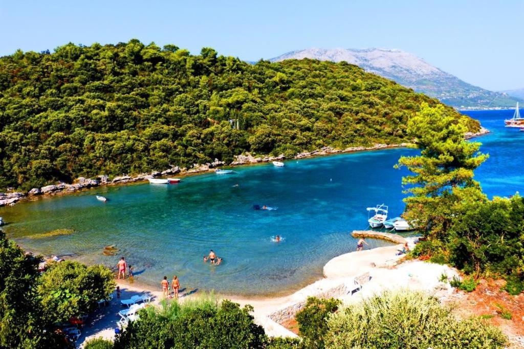Apartments Villa Cebalo-Korcula Zrnovo Værelse billede