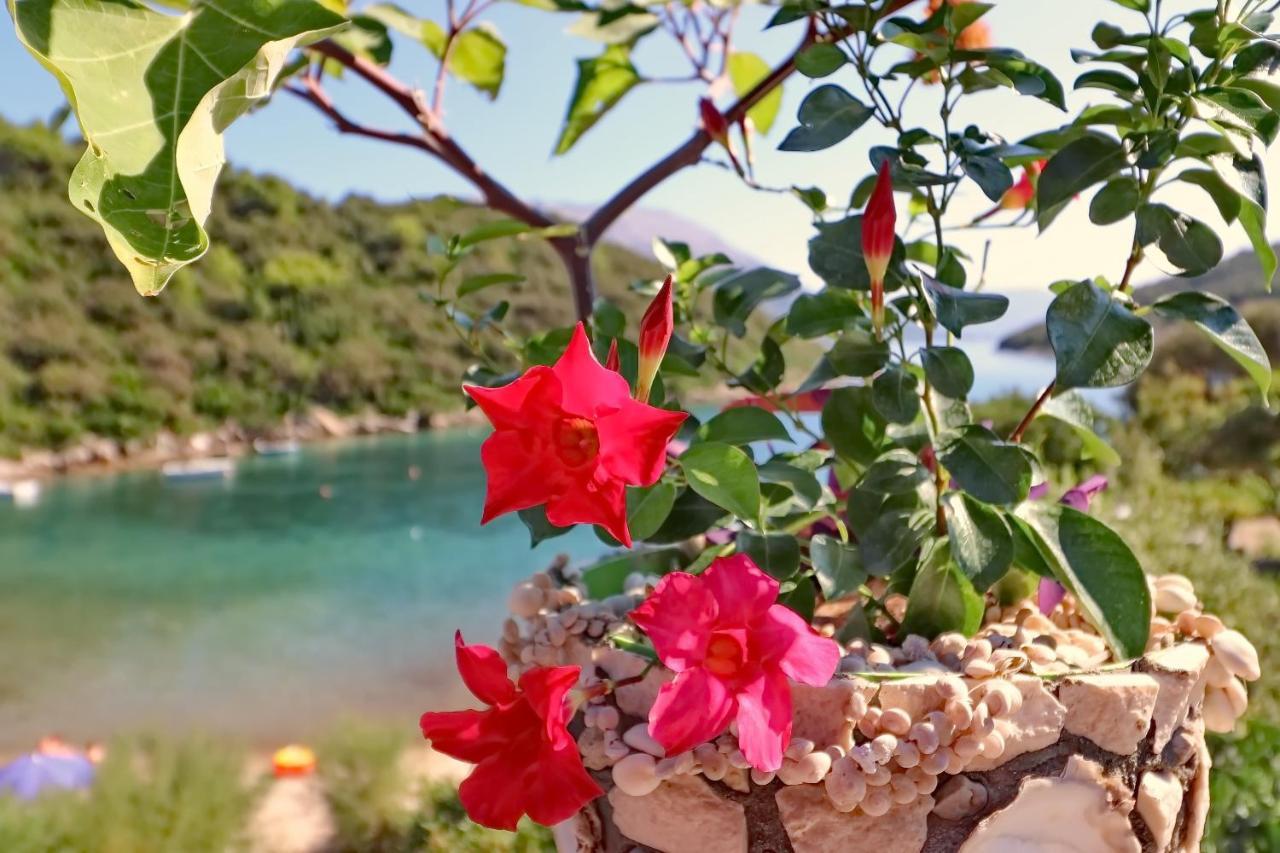 Apartments Villa Cebalo-Korcula Zrnovo Værelse billede